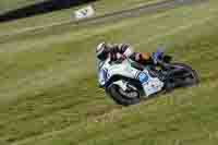 Lower Group White Bikes